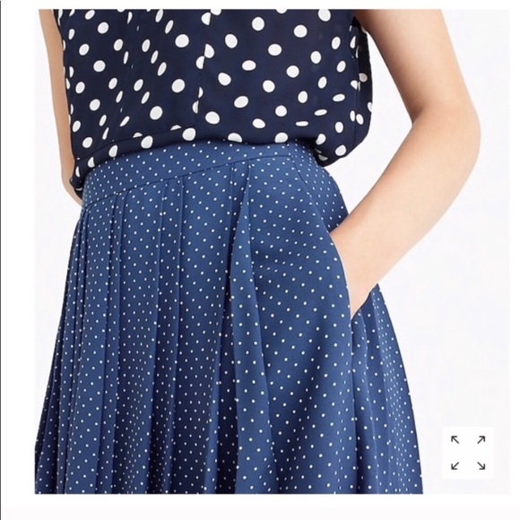 J. Crew Dresses & Skirts - J. Crew Blue & White Polkadot Pleated Skirt Sz 8